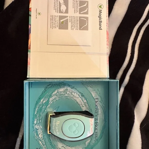 Disneyland Band - Picture 3 of 7